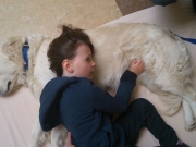 https://www.lemediasocial-emploi.fr/media/cache/articles_thumbnail/uploads/images/articles-small/5c07fa604990f_Médiation-animale-Umanima.jpg