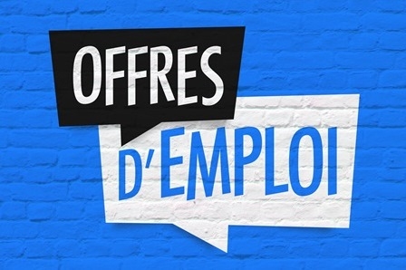 Recrutement : comment bien rédiger son offre d'emploi ? - Le Media Social  Emploi