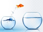 https://www.lemediasocial-emploi.fr/media/cache/resolve/articles_thumbnail/uploads/images/articles-small/5c9e2a63c35b5_Conseils_Poisson%20avril.jpeg