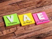 https://www.lemediasocial-emploi.fr/media/cache/resolve/articles_thumbnail/uploads/images/articles-small/602afe2dc5677_Conseils_T%C3%A9moignage%20DEES%20VAE.jpeg
