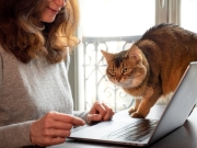 https://www.lemediasocial-emploi.fr/media/cache/resolve/articles_thumbnail/uploads/images/articles-small/6231bb083133a_GettyImages-1331999554%20-%20Copie.jpg