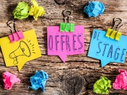 Image de l'article Formations sociales : l'Unaforis lance un appel aux employeurs